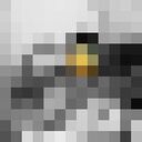 ���������� ������, ���� ����� ������, 21 ���, ������������ ��� ������, ����� � ���������