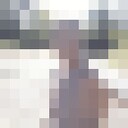 ���������� ���������, ���� ������� ��������, 34 ����, ������������ ��� ������, ����� � ���������