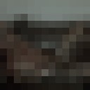 ���������� ������, ���� ������� ���������, 34 ����, ������������ ��� ������, ����� � ���������, c�������� ���������