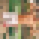 ���������� ����������, ���� ������� ������, 32 ����, ������������ ��� ������