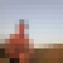 ���������� ����, ���� ������� ����, 31 ���, ������������ ��� ������, ����� � ���������, ���������