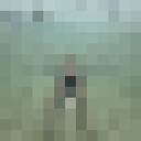  -,   , 44 ,   ,   , c 