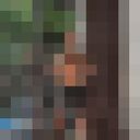 ���������� �����, ���� ������� ����, 36 ���, ������������ ��� ������, ����� � ���������