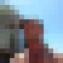 ���������� ���������, ���� ������� ����, 46 ���, ������������ ��� c�������� ���������, ���������