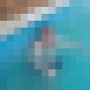 ���������� ���������, ���� ������� ���������, 46 ���, ������������ ��� ������, ����� � ���������