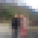  ,   Gulo, 33 ,   ,   , c 