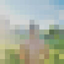 ���������� ������, ���� ������� ����, 26 ���, ������������ ��� ������, ����� � ���������