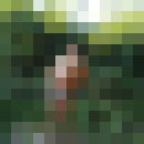  ,   , 39 ,     , c 