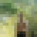 ���������� ������, ���� ������� ����, 34 ����, ������������ 