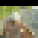  ,   Simon, 48 ,   ,   