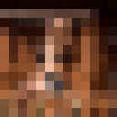 ���������� �������, ���� ������� Xenia, 20 ���, ������������ ��� ������, ���������