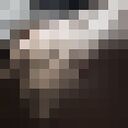 ���������� ����, ���� ������� ������, 28 ���, ������������ 