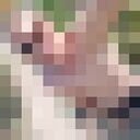 ���������� �������, ���� ������� ����, 27 ���, ������������ ��� ������, ����� � ���������