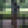  ,   Ia, 49 ,  