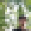  ,   DILOVAR, 33 ,   ,   , c 