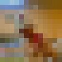 ���������� ���������, ���� ����� �������, 20 ���, ������������ ��� ������, ����� � ���������