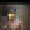  -,   , 25 ,   ,   , c 