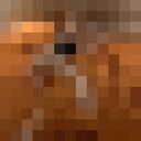 ���������� ����, ���� ������� ������, 27 ���, ������������ ��� ������, ����� � ���������