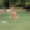 ���������� ������, ���� ����� ������, 22 ����, ������������ ��� ������, ����� � ���������