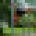 ���������� �������, ���� ������� ����, 37 ���, ������������ ��� ������, ����� � ���������