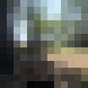  -,   , 21 ,   ,   