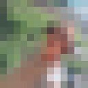  ,   Kent, 34 ,   ,   , c , 
