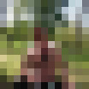  ,   , 55 ,   ,   , c , 