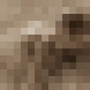  -,    , 40 ,   ,   , c 