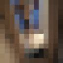 ���������� ������, ���� ������� �����, 33 ����, ������������ ��� c�������� ���������, ���������