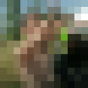 ���������� �����, ���� ������� ����, 41 ���, ������������ ��� ������