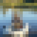  -,   , 51 ,   