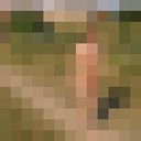  ,    , 39 ,   ,   , c , 