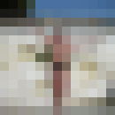  ,   Xycam, 43 ,   ,   , c 