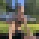 ���������� ������, ���� ������� ����, 29 ���, ������������ ��� ������, ����� � ���������, c�������� ���������, ���������