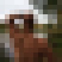 ���������� �����, ���� ������� ����, 27 ���, ������������ ��� ������, ����� � ���������, c�������� ���������, ���������