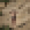 ���������� �����-���������, ���� ������� ������, 27 ���, ������������ ��� ������, ����� � ���������, c�������� ���������, ���������