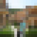 ���������� �����, ���� ������� VALERA, 42 ����, ������������ ��� ������, ����� � ���������, c�������� ���������