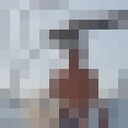 ���������� ������, ���� ������� ��������, 54 ����, ������������ ��� ������, ����� � ���������