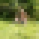 ���������� ������, ���� ������� ������, 50 ���, ������������ ��� ������, ���������