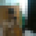 ���������� ����������, ���� ������� ���, 31 ���, ������������ ��� ������, ����� � ���������