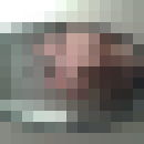 ���������� �����, ���� ������� �����, 44 ����, ������������ ��� ������