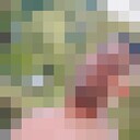 ���������� ������, ���� ������� �������, 29 ���, ������������ ��� ������, ����� � ���������