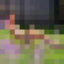 ���������� �����, ���� ����� ����, 23 ����, ������������ ��� ������, ����� � ���������