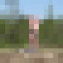 ���������� �������, ���� ������� ������, 65 ���, ������������ ��� ����� � ���������, c�������� ���������