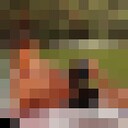 ���������� �������, ���� ������� ���������, 29 ���, ������������ ��� ������, ����� � ���������, c�������� ���������