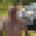  ,   , 65 ,     , c 