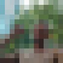  ,   , 26 ,   ,   , c , 
