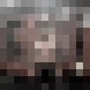 ���������� ����, ���� ������� �����, 27 ���, ������������ ��� ������, ����� � ���������, ���������