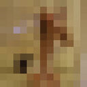 ���������� ������, ���� ������� ����, 22 ����, ������������ ��� ������, ����� � ���������