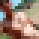  ,   , 30 ,   ,   , c , 